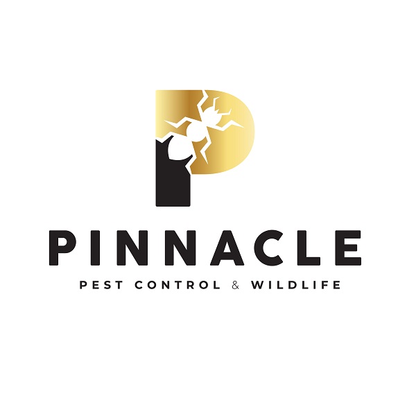 Pinnacle Pest Control & Wildlife